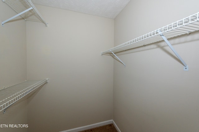 walk in closet with carpet