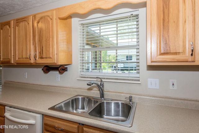kitchen with light countertops, dishwasher, and a sink