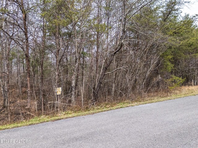 LOT11 Brady View Dr, Crossville, TN 38555 - photo 7