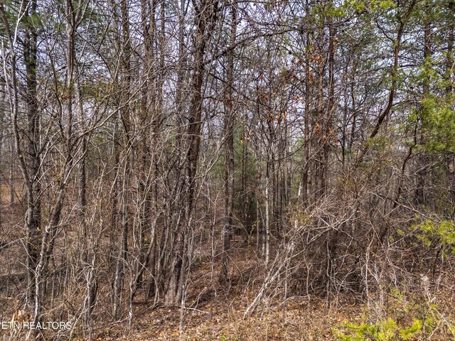 LOT11 Brady View Dr, Crossville, TN 38555 - photo 8