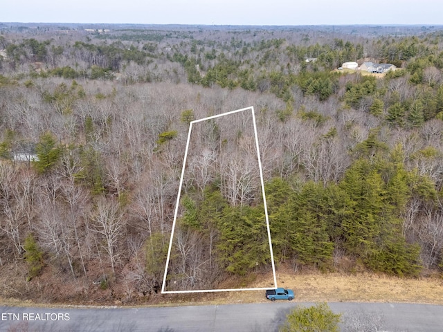 LOT11 Brady View Dr, Crossville, TN 38555 - photo 1