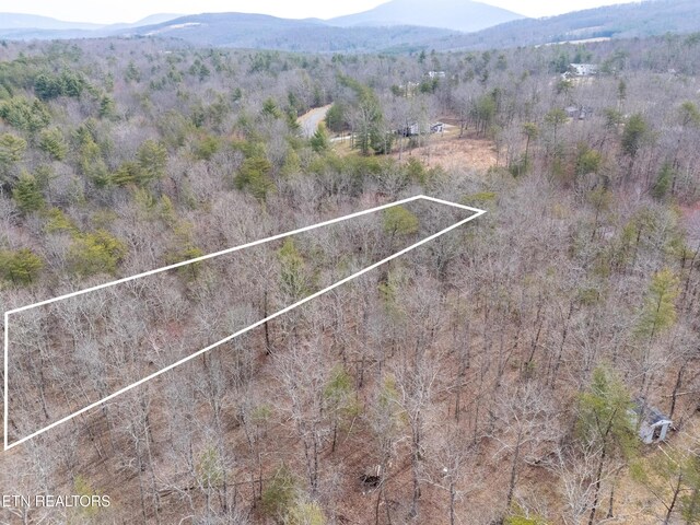 LOT11 Brady View Dr, Crossville, TN 38555 - photo 5