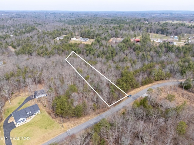 LOT11 Brady View Dr, Crossville, TN 38555 - photo 3