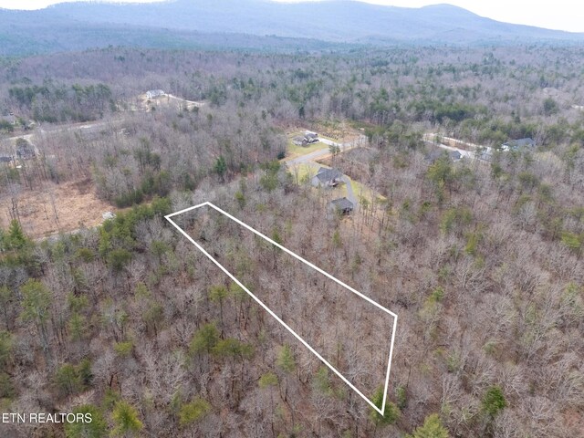 LOT11 Brady View Dr, Crossville, TN 38555 - photo 4