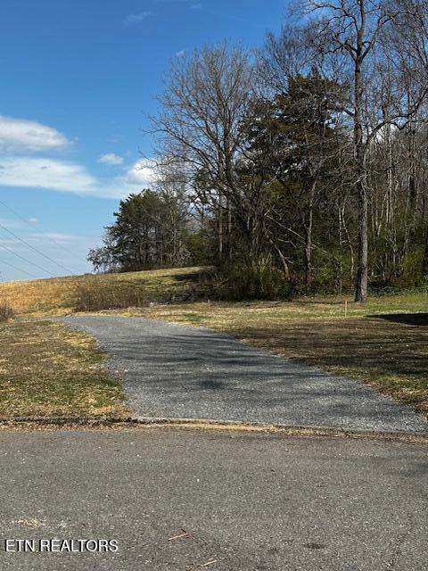 0 Ottari Dr, Ottari Acres Knoxville, TN 37918 - photo 4