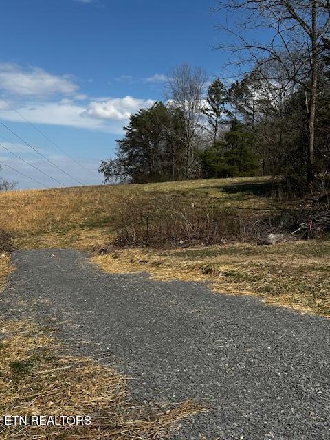 0 Ottari Dr, Ottari Acres Knoxville, TN 37918 - photo 5