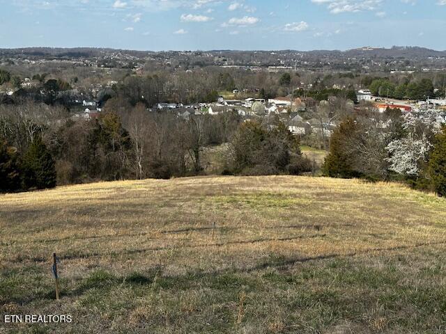0 Ottari Dr, Ottari Acres Knoxville, TN 37918 - photo 2
