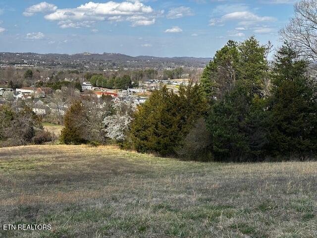 0 Ottari Dr, Ottari Acres Knoxville, TN 37918 - photo 3