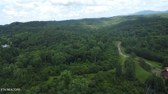 George Thomas Rd, Vonore, TN 37885 - photo 5