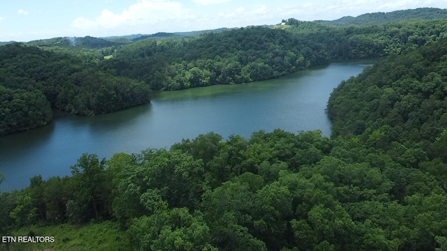 George Thomas Rd, Vonore, TN 37885 - photo 4