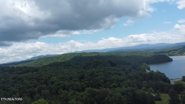 George Thomas Rd, Vonore, TN 37885 - photo 3