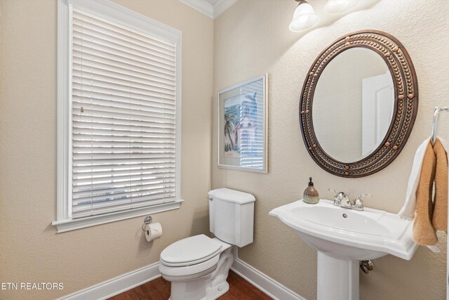 425 Grove Branch Ln, Knoxville, TN 37922 - photo 25