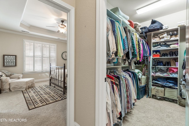 425 Grove Branch Ln, Knoxville, TN 37922 - photo 20