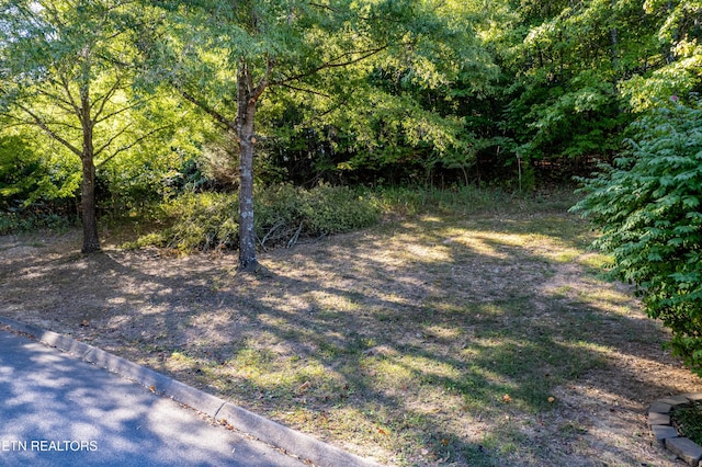 110 Vineyard Cove Dr, Loudon, TN 37774