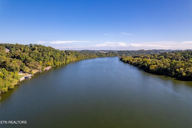 110 Vineyard Cove Dr, Loudon, TN 37774