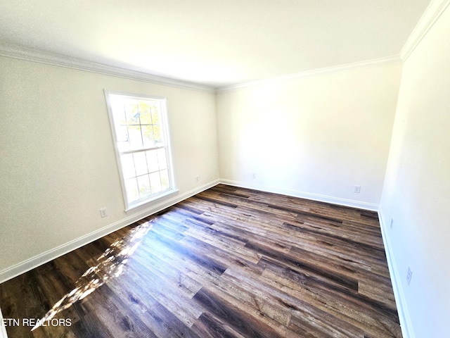 10237 Canton Place Ln, Knoxville, TN 37922 - photo 10