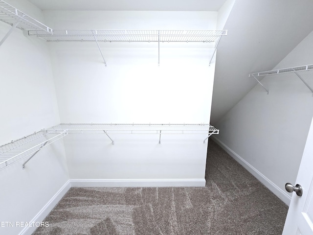 10237 Canton Place Ln, Knoxville, TN 37922 - photo 16