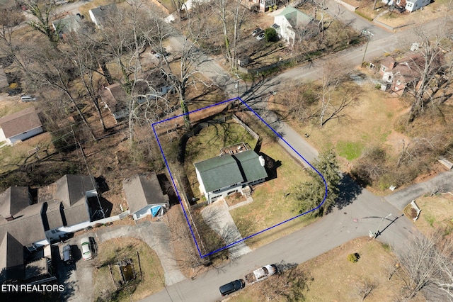 bird's eye view