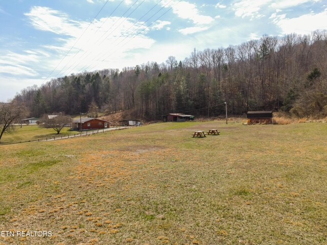 4662 Baker Hwy, Huntsville, TN 37756 - view of yard featuring an outdoor structure and a wooded view