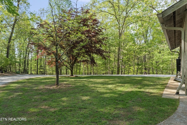 view of yard