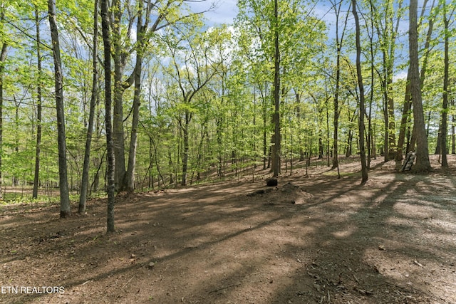 view of local wilderness