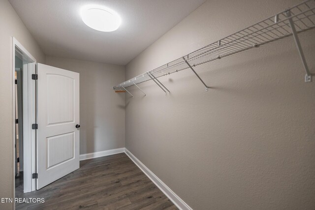 212 Horton Ln, Maryville, TN 37803 - photo 28