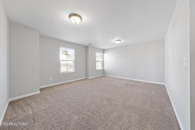 511 Goldie Ln, Knoxville, TN 37934 - photo 26