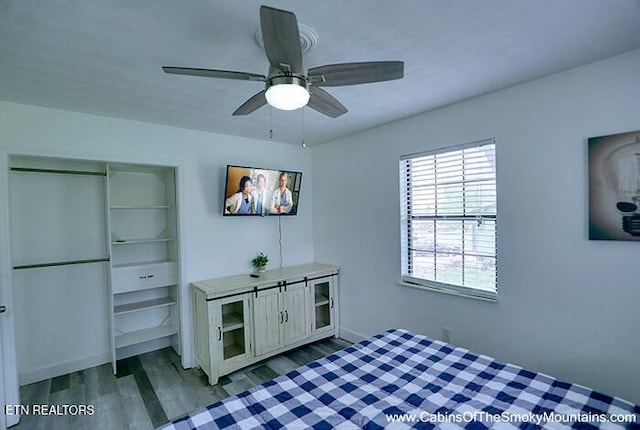 2218 Red Bank Cir, Sevierville, TN 37862 - bedroom with wood finished floors, a closet, and ceiling fan