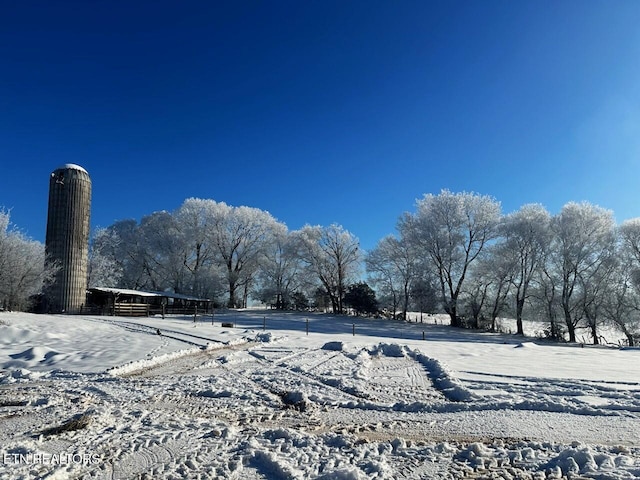 21876 E Coast Tellico Pkwy, Greenback, TN 37742 - view of yard covered in snow
