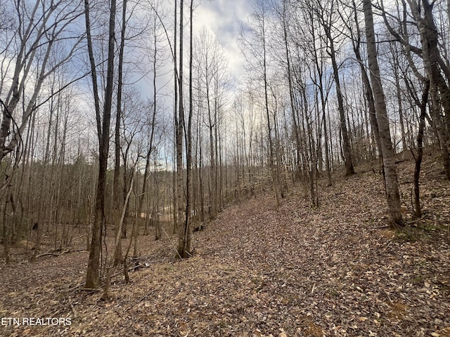 1863 Old County Garage Rd, Helenwood, TN 37755 - photo 4