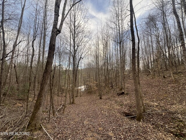 1863 Old County Garage Rd, Helenwood, TN 37755 - photo 5