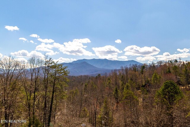 1027 N Highland Dr, Gatlinburg, TN 37738 - mountain view featuring a forest view