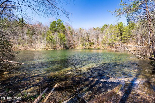 1027 N Highland Dr, Gatlinburg, TN 37738 - water view with a forest view