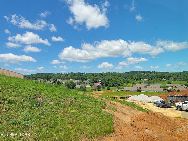 230 Sugar Maple Trl, Lenoir City, TN 37771 - photo 16