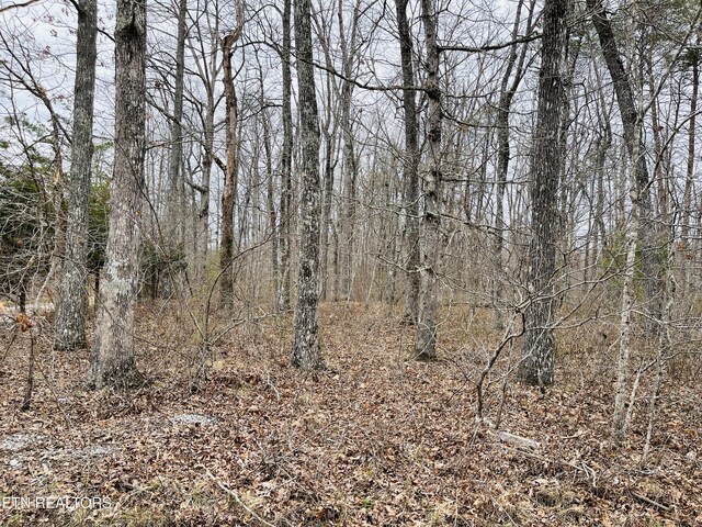 16 Linda St, Crossville, TN 38572 - photo 4