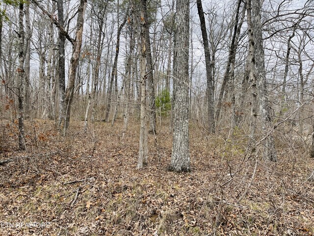 16 Linda St, Crossville, TN 38572 - photo 5