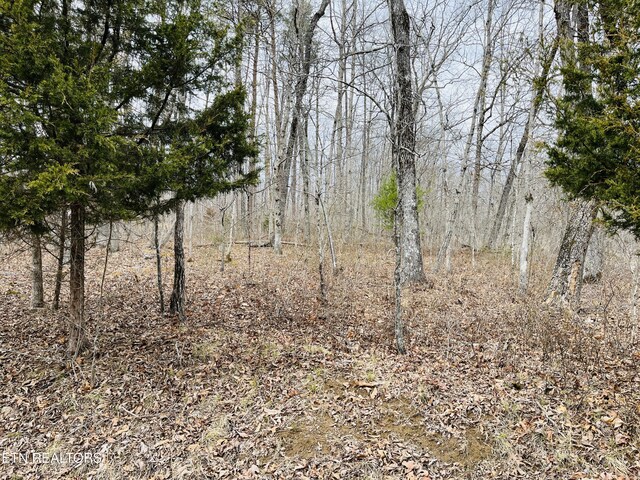 16 Linda St, Crossville, TN 38572 - photo 6