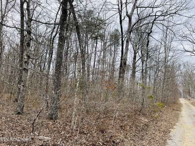 16 Linda St, Crossville, TN 38572 - photo 7