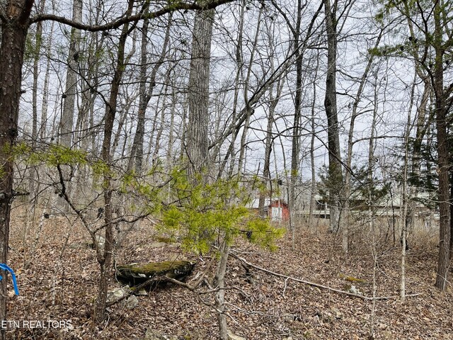 16 Linda St, Crossville, TN 38572 - photo 8