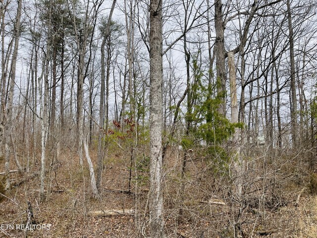 16 Linda St, Crossville, TN 38572 - photo 9