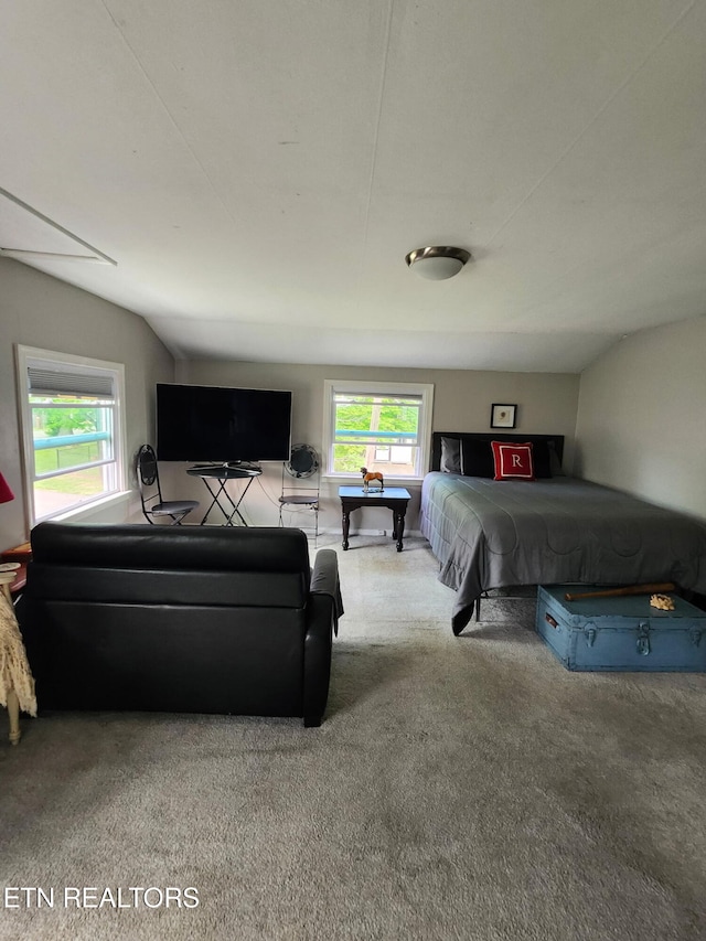 3009 Sanders Dr, Knoxville, TN 37918 - bedroom with carpet