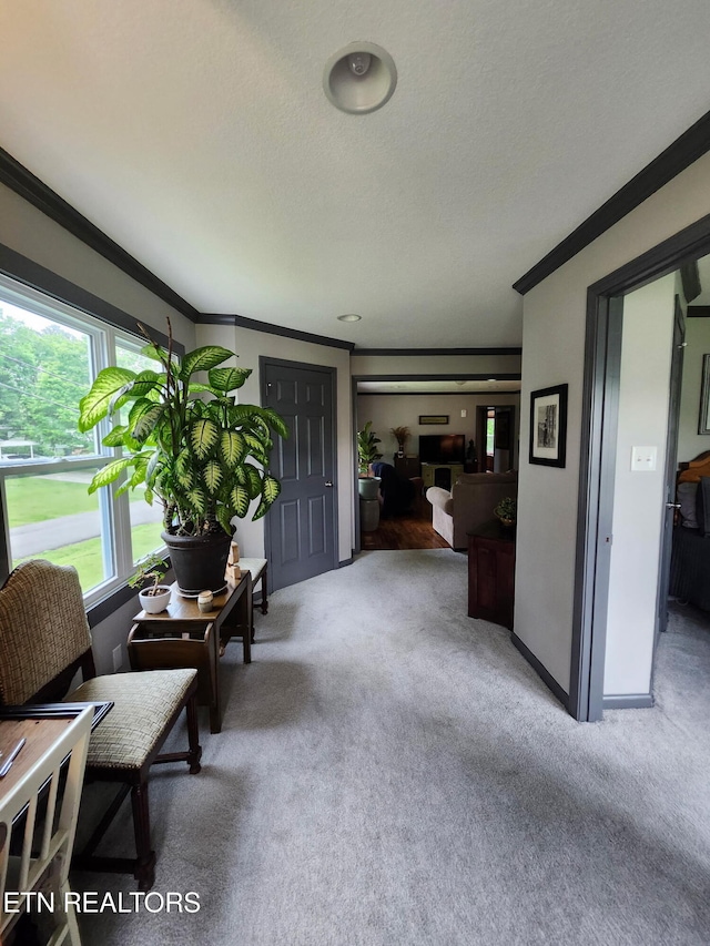 3009 Sanders Dr, Knoxville, TN 37918 - living area featuring carpet flooring, a textured ceiling, crown molding, and baseboards