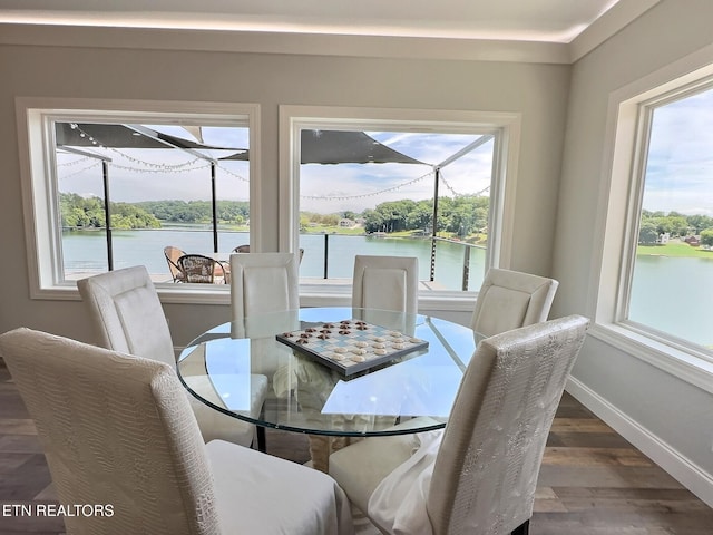 179 Lakeshore Bay Dr, Jefferson City, TN 37760 - dining room with wood finished floors, baseboards, and a water view