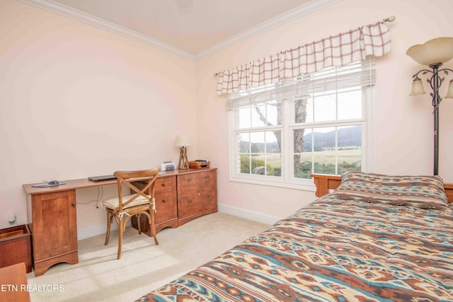 107 Sunny St, Sharps Chapel, TN 37866 - bedroom with crown molding, light colored carpet, baseboards, and an office area