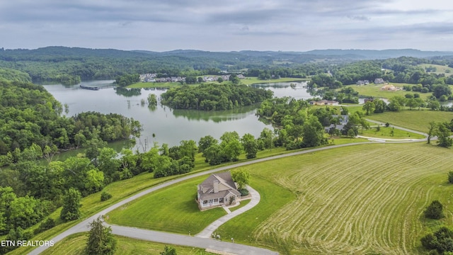 107 Sunny St, Sharps Chapel, TN 37866 - aerial view of a nearby body of water