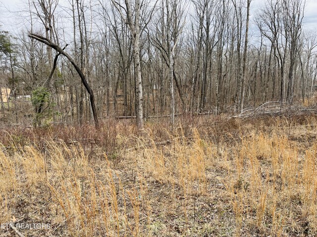 2 Tresa St, Crossville, TN 38572 - photo 7