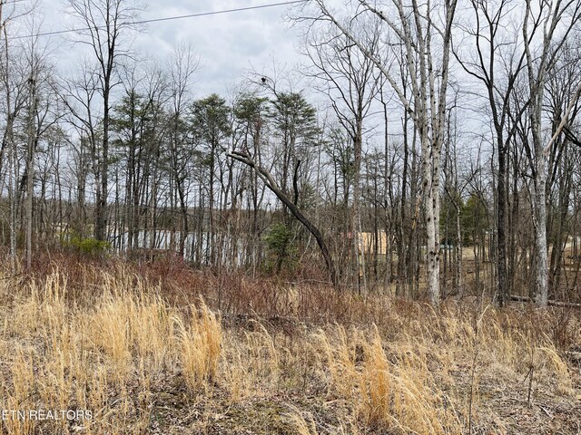 2 Tresa St, Crossville, TN 38572 - photo 9