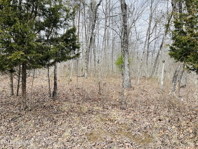 17 Linda St, Crossville, TN 38572 - photo 3