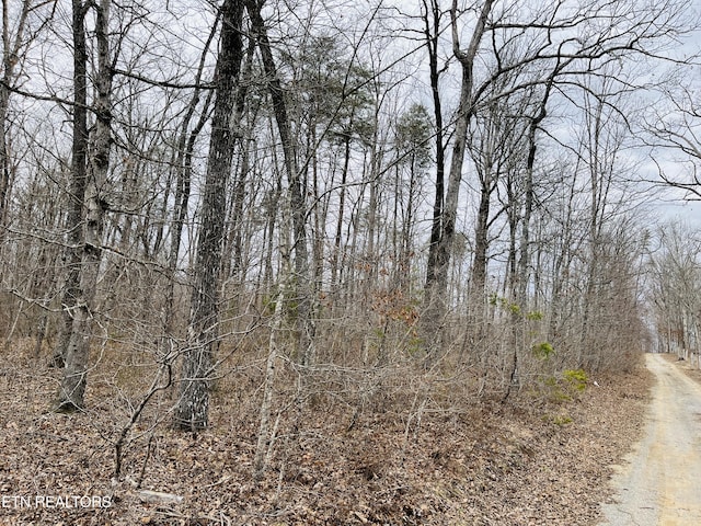 17 Linda St, Crossville, TN 38572 - photo 4