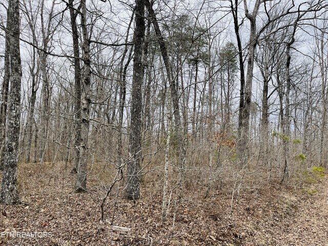 17 Linda St, Crossville, TN 38572 - photo 5